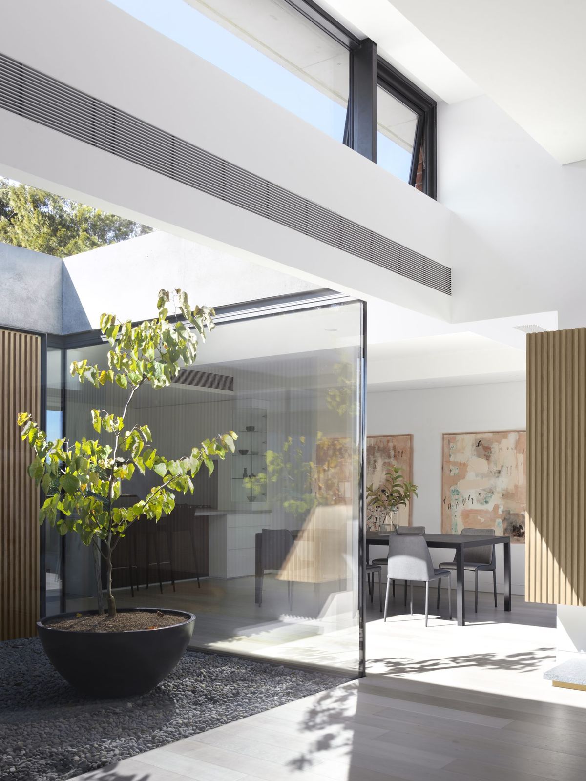 Castle Cove — glazed internal courtyard with potted tree beside dining area, built by HP Constructions with Dieppe Design