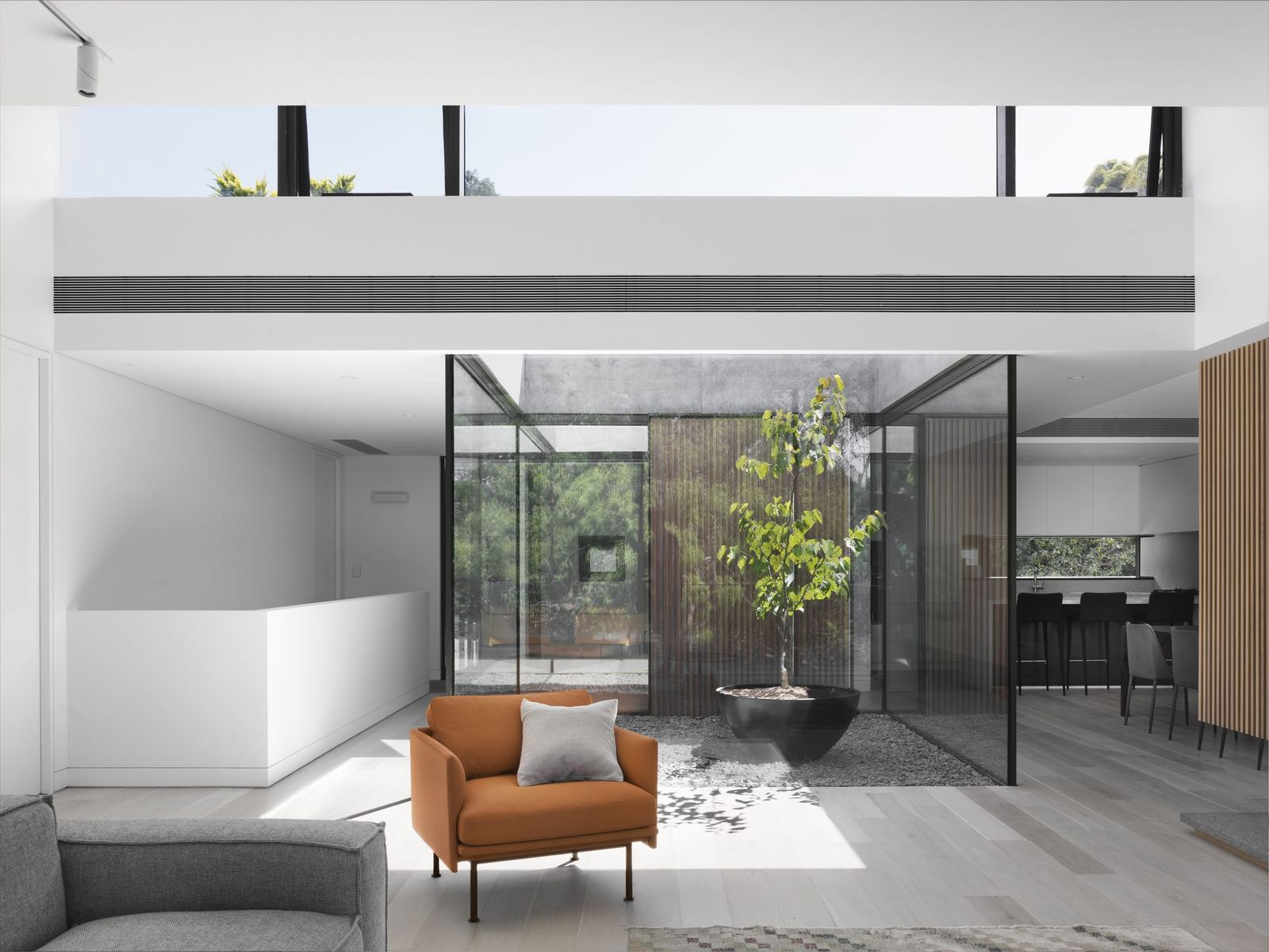 Castle Cove — open living space around glazed internal courtyard with potted tree, built by HP Constructions with Dieppe Design