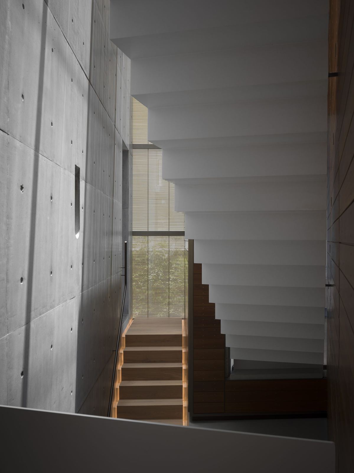 Lurline Bay — board-formed concrete staircase, built by HP Constructions with FJC Studio